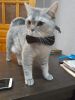 IMG-20221117-WA0007.thumb.jpeg.7f657141942d59d685d1ef388536b13c.jpeg