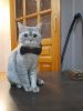 IMG-20221117-WA0008.thumb.jpeg.fed743d85fece015ad616e9d45715c75.jpeg