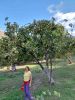 IMG-c529a84c546f1ce60d5a7863ec0dd051-V.thumb.jpg.ca13d35e20c526328d2c18ced35cca3a.jpg