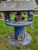 IMG_20221002_181939.thumb.jpg.78d6c7082c874eab6fdcbf263f4064e0.jpg