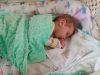 IMG_20221017_091341_151.thumb.jpg.ff1dd94f1611e37207890c41b4fbf7d8.jpg