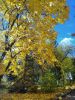 IMG_20221028_105619.thumb.jpg.7517daa163dff22af3411e425e306e4a.jpg