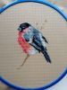 IMG_20221109_101514.thumb.jpg.42191276a6924f45638b9348cf9c1c90.jpg