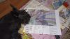 IMG_20221119_090621.thumb.jpg.f90472234d776d97caf6401215351217.jpg