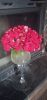 IMG_20221119_140911.thumb.jpg.c98a2c85199c14255bb8b7e927043909.jpg