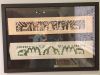 IMG_20221119_163918.thumb.jpg.dbf148f58597ae1135cfd2dfa0976341.jpg