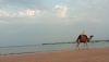 IMG_20221123_160538.thumb.jpg.ce95245101e31d5f80fd73066929b887.jpg