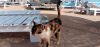 IMG_20221124_095741.thumb.jpg.34432cd3944303801721ac9be68255d3.jpg