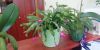 IMG_20221124_134906.thumb.jpg.d2c19b3a149d0bb4bc2cf8ec43f31f86.jpg