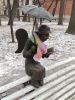 IMG_20221127_142842.thumb.jpg.ecd4cd17d642f9279cc734e6cd4f5793.jpg