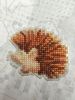IMG_20221128_181826.thumb.jpg.98ae18e622918b60e28b73d65773bb1c.jpg