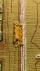 PXL_20221105_200351329.PORTRAIT.jpg