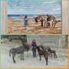 PhotoCollage_1668316386124.thumb.jpg.8daecd8448fc89b3610b15158a7e9c54.jpg