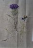 Thistle2.JPG.7781baf069fd0bda9a66acdae7515200.thumb.jpg.75877ae0e5dc066551446378891c4066.jpg