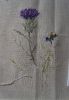 Thistle2.thumb.JPG.f6ddef0cb4629d65522ecbcd282480f6.JPG