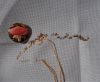 Toadstools1.thumb.JPG.4204b8279a552a56bb67c90fda4ea6fe.JPG