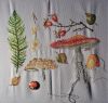 Toadstools3.JPG.ed1637690150ddb7dae356d7beacf79b.thumb.jpg.7460b45988accbf4e7eb7087fdc6f370.jpg