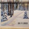 ZD-20221120-33020.jpg.4e75fce29aff295fa343175d8645d3db.thumb.jpg.471f5ddce3c31f1bb6fae806b4d280bd.jpg