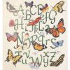 butterfly_web1.thumb.jpg.913df5d47cbc3da863375246441ff5d8.jpg