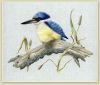 d08fdb72821d44b955a2fa9c787ae73e--thread-painting-kingfisher.thumb.jpg.9d8dec4a0f22c21e67e741f08f1f1b31.jpg