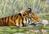 image.thumb.png.dfaad88225ce1bc0e6c8811e82345035.png