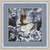 laPsvvMexlrAW3Oz-o5FZwhw0w1E3nZWKsHMaPWaqwVU6mIuamW4U6XfyC5iWqON-knHREIf4VQu5sKSOHFotadK.thumb.jpg.f74cd24a10dffc533d10c851591387f6.jpg