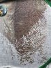 0.thumb.JPG.8b1cdc8e18cad03af50dc4e1689f902f.JPG