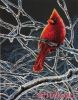 Dimensions 35292, Ice Cardinal
