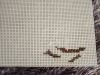 1.thumb.jpg.ab4fce353347aed2a86ffebead259a3e.jpg