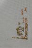 1167093635_1(150)3(150)363.thumb.jpg.30dfb8473d212ba664b7a1a7587a6952.jpg