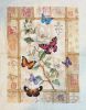 187039935_BrilliantButterflyCelebrationfinish.thumb.jpg.2e12d72d2df7f9a653766284adfedd53.jpg