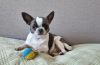 20220910_104514_1T1cyxOq07.thumb.jpeg.f866c33d50d8ae91dd3ed78ffa388bde.jpeg