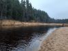 20221112_132847.thumb.jpg.6cf85fc3756b7e3396ccd111a89b4429.jpg