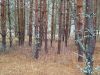 20221112_133413.thumb.jpg.3dc6cae1b6b42ceb9906572faaca38fb.jpg