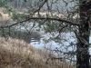20221112_133710.thumb.jpg.84ad291fbf32c24f36cb4028e779d6da.jpg
