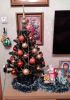 20221222_164047.thumb.jpg.3d8f3a08120fd368d5606865051d9f06.jpg