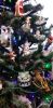 20221224_122400.thumb.jpg.ddfee5ff60c6d9450977246c8edb4a21.jpg