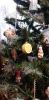 20221224_122439.thumb.jpg.d936480a753f4c675245af1ce8f4b0bb.jpg