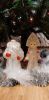 20221224_122644.thumb.jpg.5d8aefb023d5089f88547b67bfb449ce.jpg