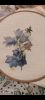 3DB28A02-11D4-48EA-9BFB-1E5C3F2CC060.jpeg
