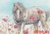 Dimensions 35396, Wild Horse