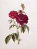 805.jpg.494d69d21ca050f4682d777675c8436b.thumb.jpg.f09c581f84cd89994ad23e7477790ff9.jpg