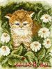 Сделай своими руками К-13, Котёнок в ромашках