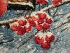BFBEE5D4-F2EF-4D50-9ACC-55663FCE02A4.jpeg