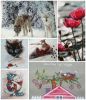 Collage_20221229_142206.thumb.jpg.16384b532a08ac7a7210a83805793527.jpg