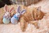 DSC_3868.thumb.JPG.7565e21a77ce5c72e128a896bc54c6c2.JPG
