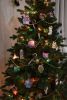 DSC_4036.thumb.JPG.a881fcb6eccc4b69c90328a16e65cf9f.JPG