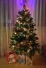 DSC_4040.thumb.JPG.9550dabe0c0825b4bb6f11085f3bf1c1.JPG