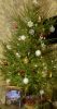 DSC_7135_00001.thumb.jpg.045806dd95a9ef1e1b20d504c8e68381.jpg