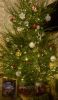 DSC_7139_00001.thumb.jpg.4edf2e1eb9636c1af759e8bf98123bd0.jpg
